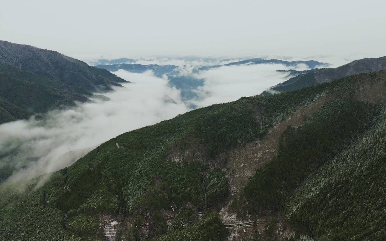 木谷山林は、その源流を抱く森