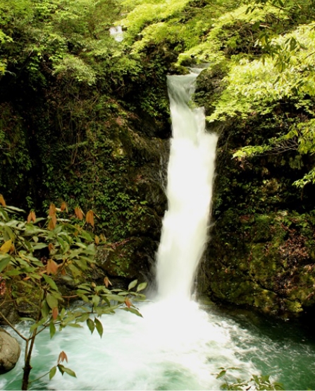 八幡の滝（木谷川）